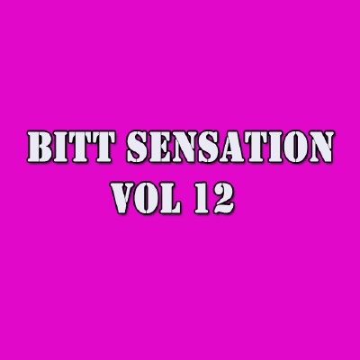 Bitt Sensation Vol 12 (2009)