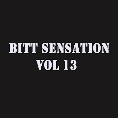 Bitt Sensation Vol 13 (2009)