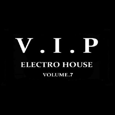 Electro House. Vol.7 (2009)
