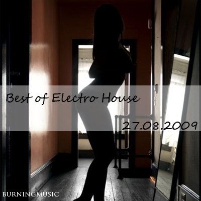 Best of Electro House(27.08.2009)