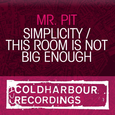 Mr. Pit - This Room Is Not Big Enough
 (2010)