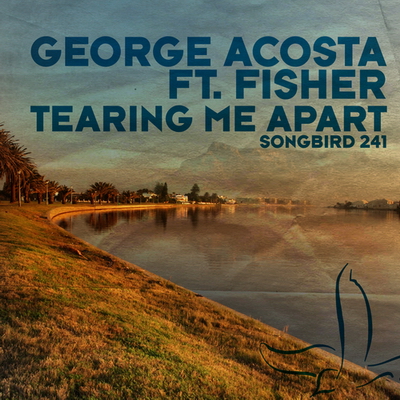 George Acosta feat. Fisher - Tearing 
Me Apart (2010)