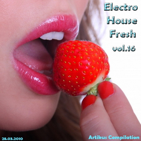 VA-Electro House Fresh vol.16 (2010)