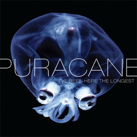 Puracane - I've Been Here The Longest 
(2009)