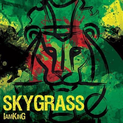 Skygrass - I Am King (2013) 1389277694_cover