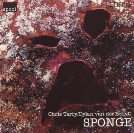 Chris Tarry & Dylan Van Der Schyff - Sponge (1998)