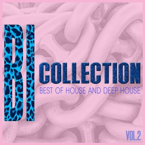 VA - BI-Collection Vol.2: Best of House and Deep House (2016)