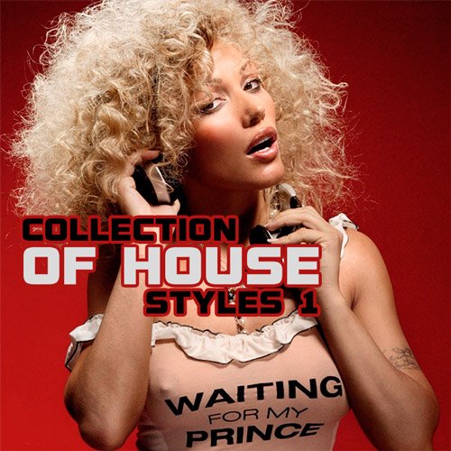 VA-Collection Of House Styles 1 (2020)