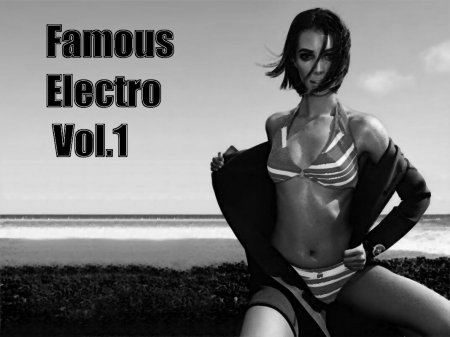 VA-Famous Electrohouse vol.1 (2009)