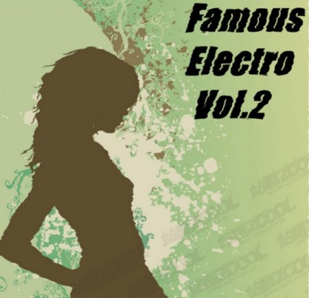 VA-Famous Electrohouse vol.2 (2009)
