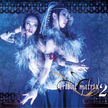 VA - Tribal Matrix 2 (2009)