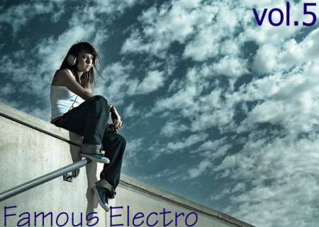VA - Famous Electrohouse Tracks v.5 (2009)