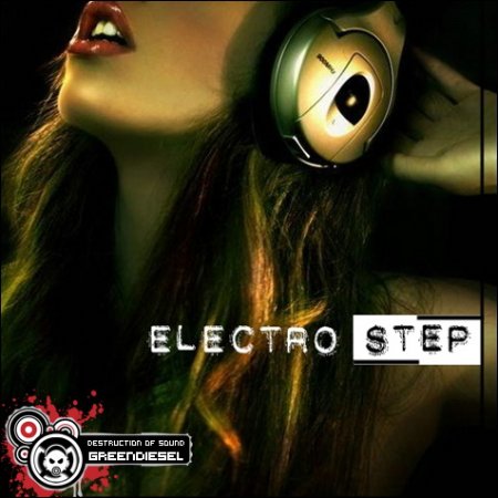 Destruction Of Sound - ElectroStep (2009)