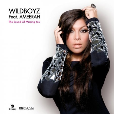Wildboyz Feat. Ameerah - The Sound Of
 Missing You (2010)