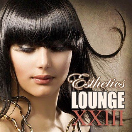 VA-Esthetics Lounge Vol.23 (2013)