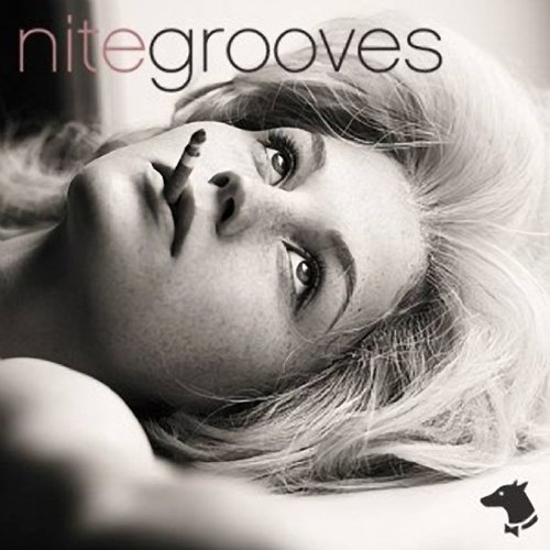 VA-Nite Grooves (2013)