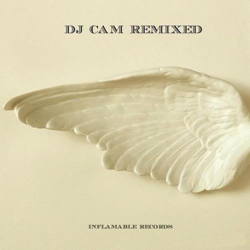 DJ Cam - Remixed (2013)