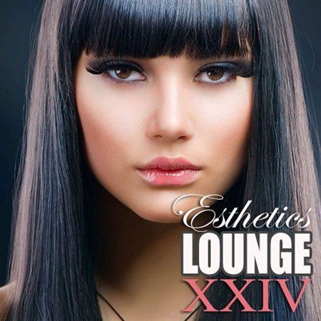 VA - Esthetics Lounge Vol.24 (2013)
