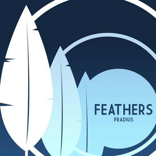 Pradius - Feathers (2013)
