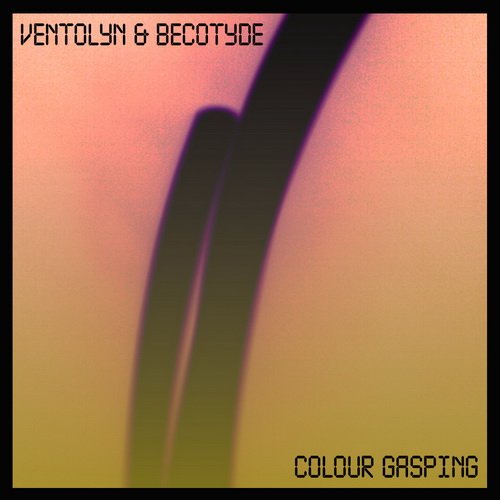 Ventolyn & Becotyde - Colour Gasping (2013)