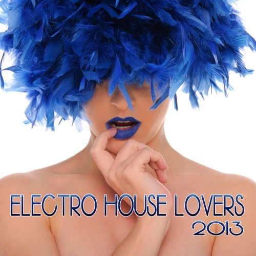 VA-Electro House Lovers (2013)