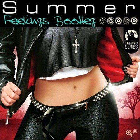 VA - Feelings Summer Bootleg (2013)