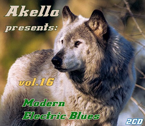 VA-Akella Presents: Modern Electric Blues - Vol.16 (2013)