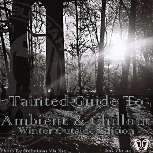 VA - Tainted Guide To Ambient & Chillout Winter Outside Edition (2012)