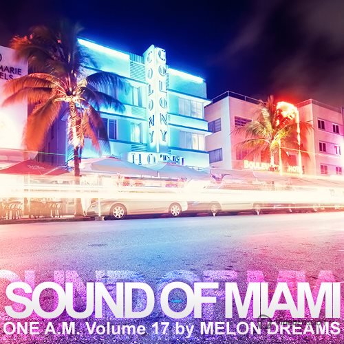 VA-Sound Of Miami: One A.M. Volume 17 (2013)