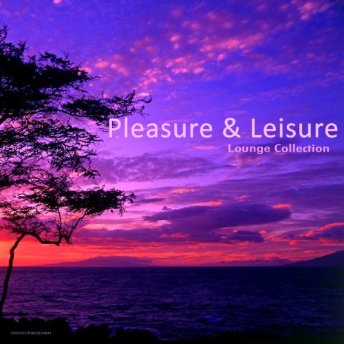 VA - Pleasure & Leisure Lounge Collection (2013)