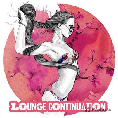 VA-Lounge Continuation (2013)