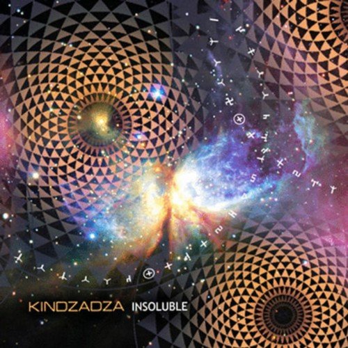 Kindzadza - Insoluble (2010)