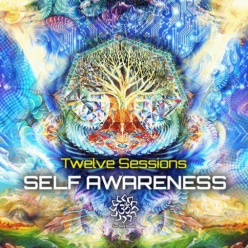 Twelve Sessions - Self Awareness (2013)