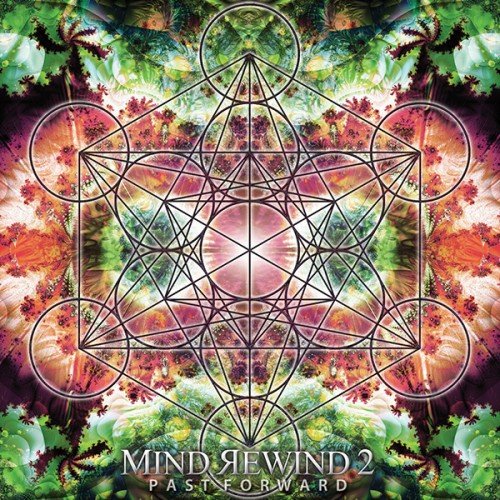 VA-Mind Rewind 2 - Past Forward (2013)