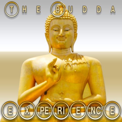 VA - The Budda Experience (2013)