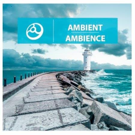 Ambient Ambience (2014)