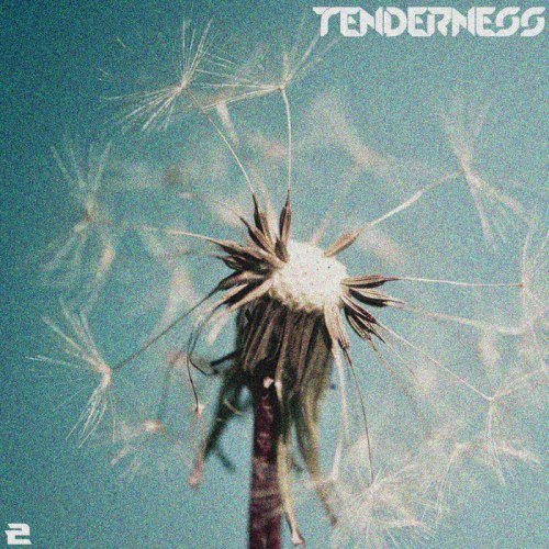 VA - Tenderness Vol 2 (2014)