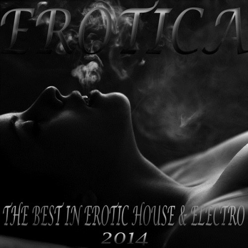 VA - Erotica, the Best in Erotic House and Electro 2014 (An Ultimate Selection of Sexy Dance Grooves)(2014)