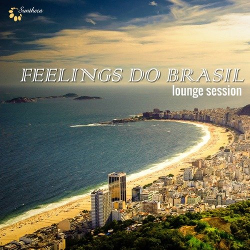 VA - Feelings Do Brasil Lounge Session (2014)