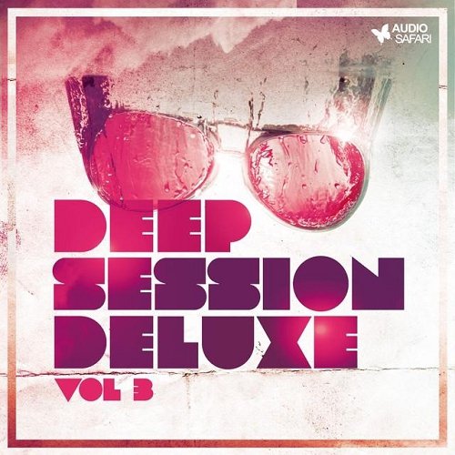 VA - Deep Session Deluxe Vol 3 (2014)