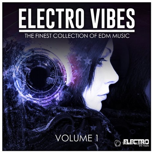 Electro Vibes Vol.1 (2015)