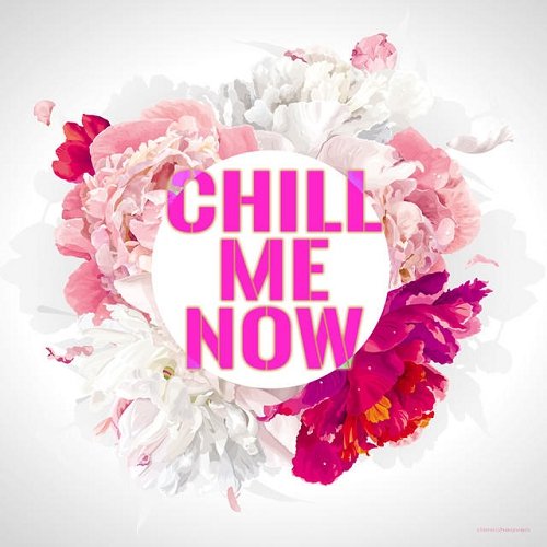 VA - Chill Me Now (2015)