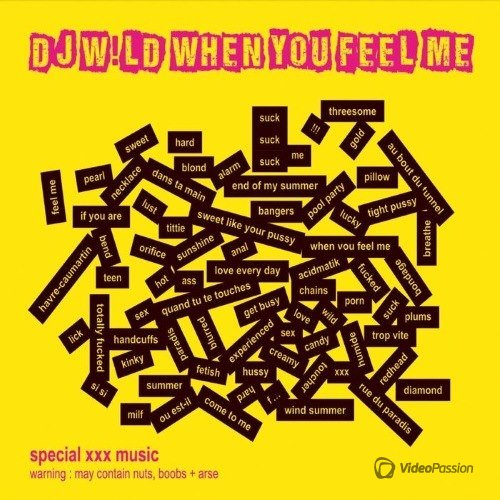 DJ W!LD - When You Feel Me (2014)