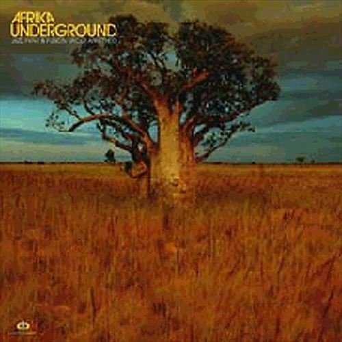 VA - Afrika Underground: Jazz, Funk & Fusion Under Apartheid (2002)