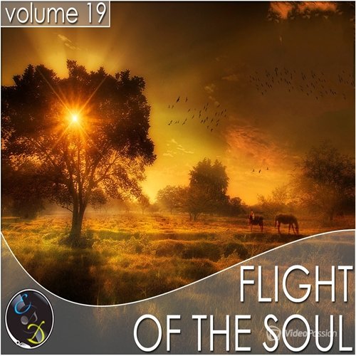 Flight Of The Soul vol.19 (2015)