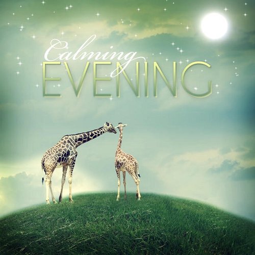 VA - Calming Evening (2015)