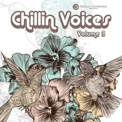 VA - Chillin Voices Vol 3 Beautiful and Relaxing Vocal Lounge Music (2015)