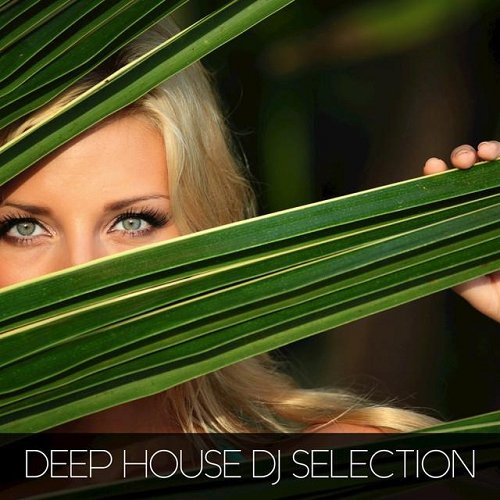 VA - Deep House DJ Selection (2015)