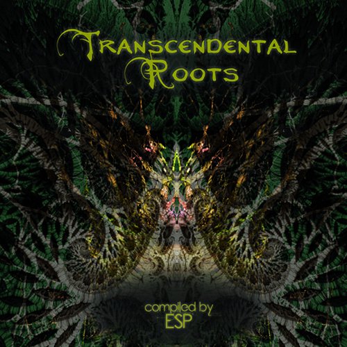 VA-Transcendental Roots (2015)