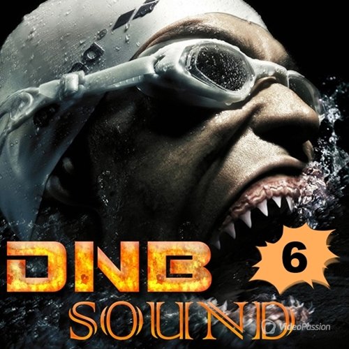 DNB Sound vol.6 (2015)